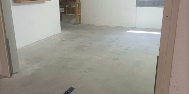 Immagine WhatsApp 2025-11-25 ore 19.45.39_1a2c2657