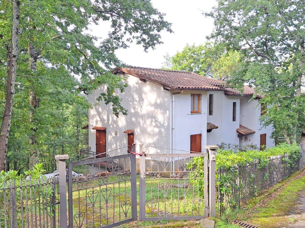 Borselli (Pelago), villetta con giardino, affitto estivo.