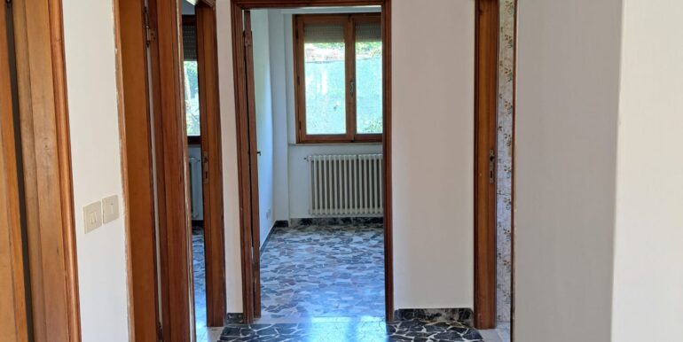INTERNO (17)
